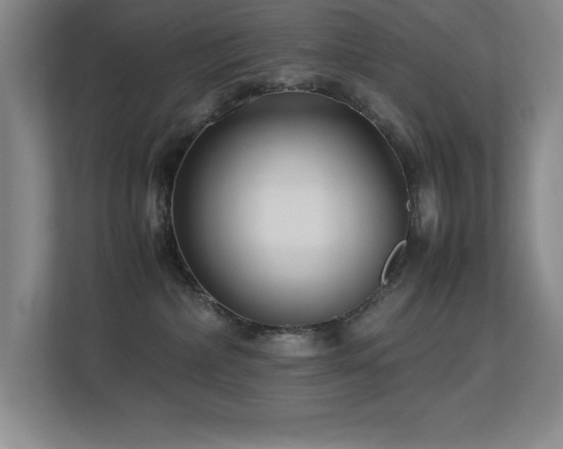 X0000113210236200909101138