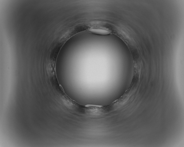 X0000113210237200909101138