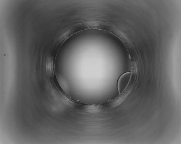 X0000113210238200909101138