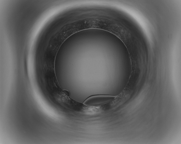 X0000113210239200909101138