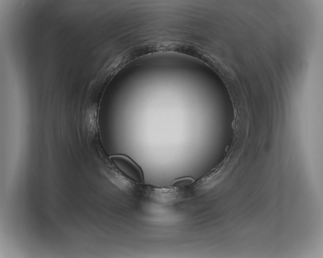 X0000113210240200909101138