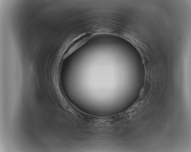 X0000113210241200909101138