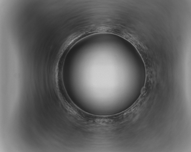 X0000113210242200909101138