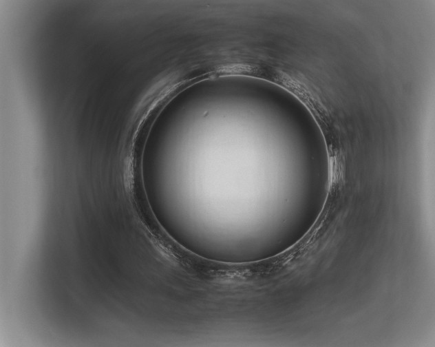 X0000113210243200909101138