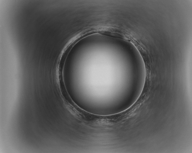 X0000113210244200909101138