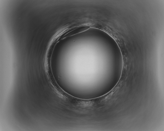 X0000113210245200909101138