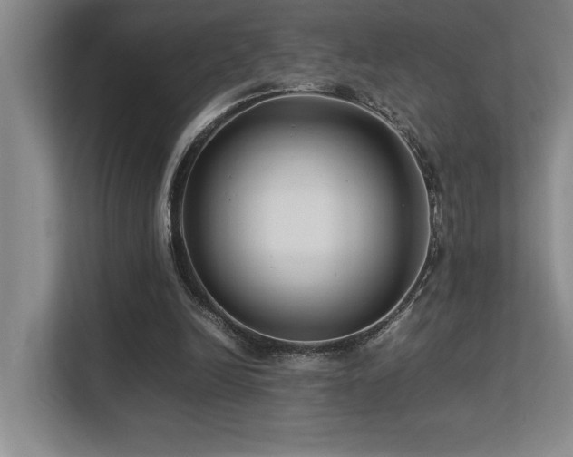 X0000113210246200909101138