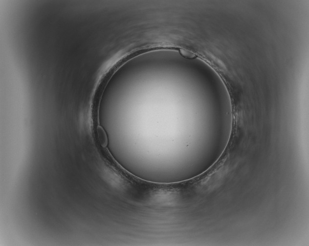 X0000113210248200909101138