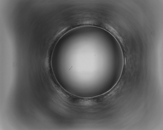 X0000113210249200909101138