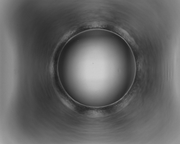 X0000113210250200909101138