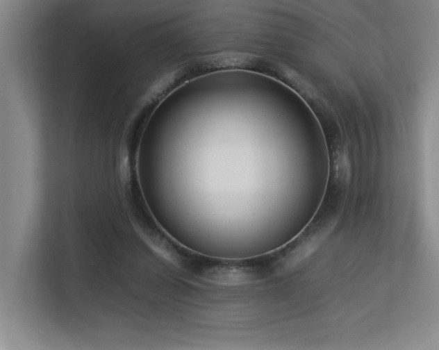 X0000113210254200909101138