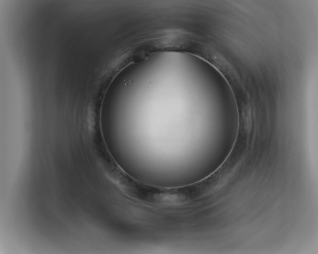 X0000113210255200909101138