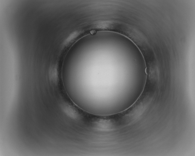 X0000113210256200909101138