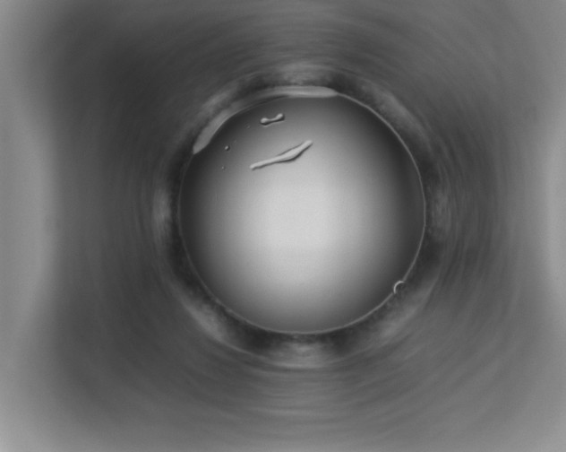 X0000113210260200909101138