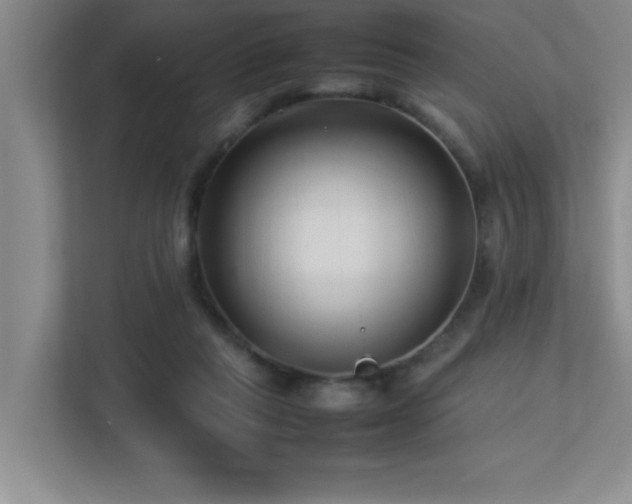 X0000113210261200909101138