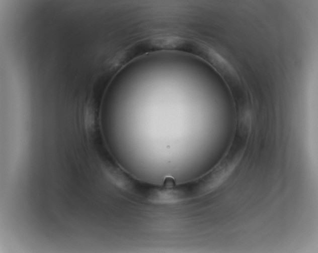 X0000113210268200909101138