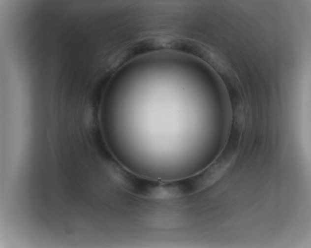 X0000113210270200909101138