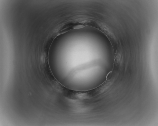 X0000113210283200909101138