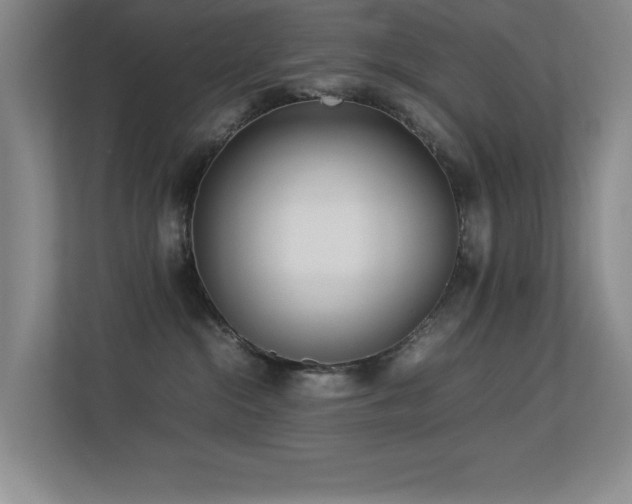 X0000113210284200909101138