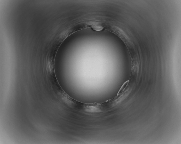 X0000113210285200909101138