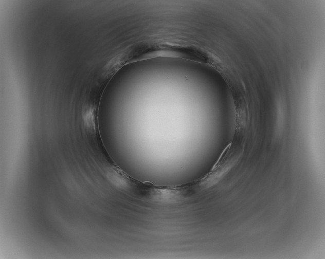 X0000113210286200909101138