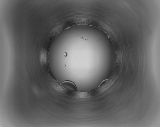 X0000113210287200909101138