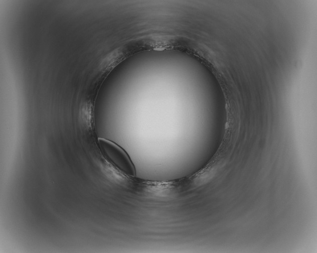 X0000113210288200909101138