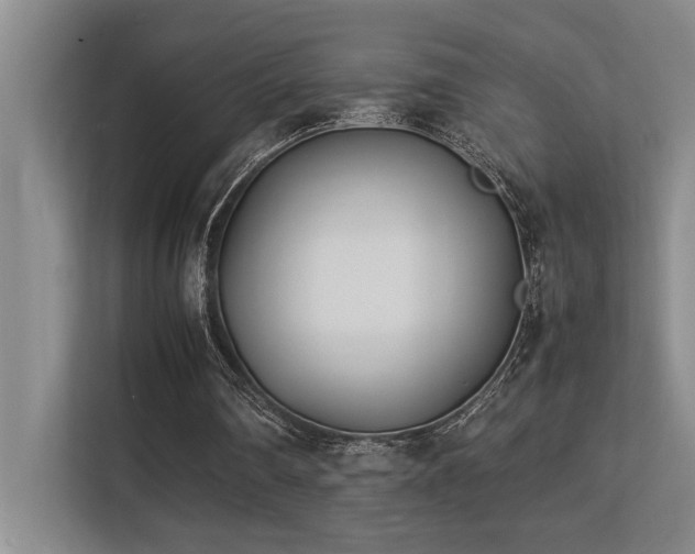 X0000113210290200909101137