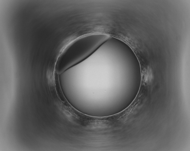 X0000113210292200909101137