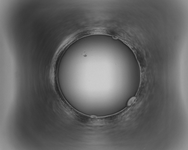 X0000113210293200909101137