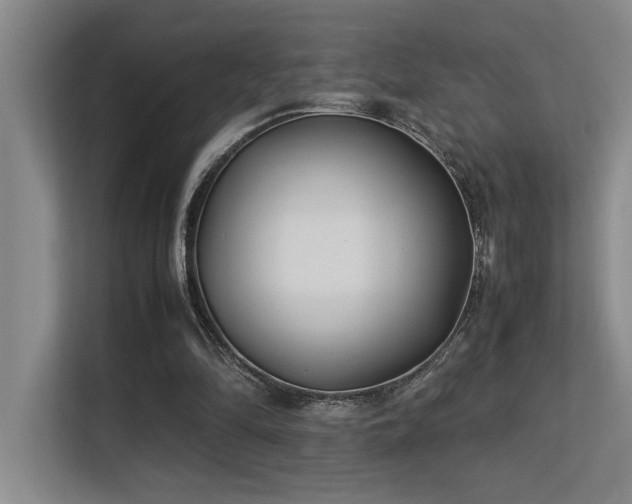 X0000113210294200909101137