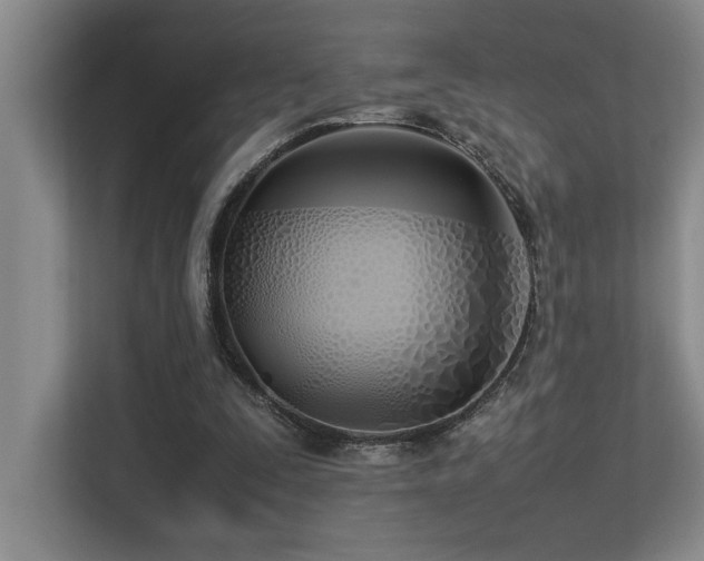 X0000113210295200909101137