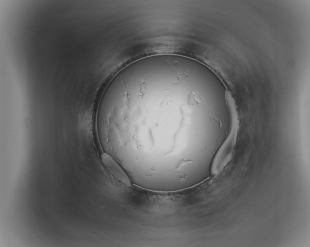 X0000113210297200909101137