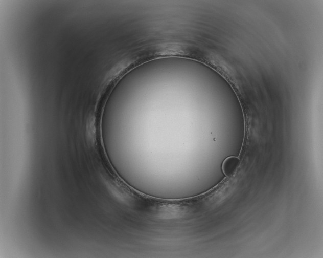 X0000113210298200909101137