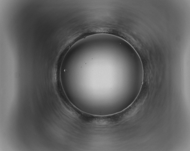 X0000113210299200909101137