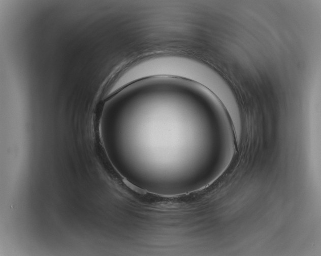 X0000113210300200909101137