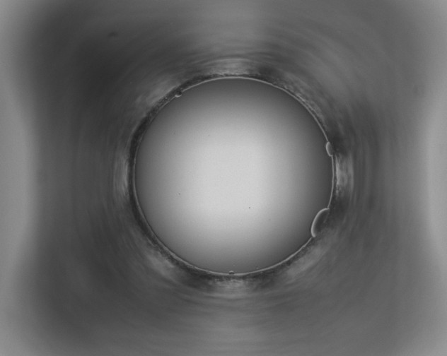 X0000113210301200909101137