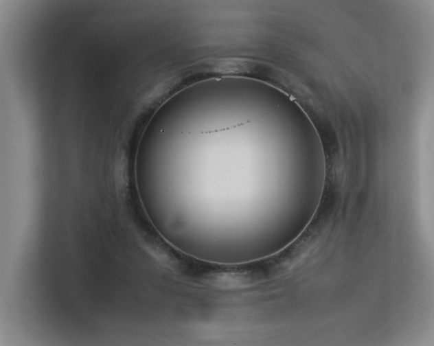 X0000113210303200909101137