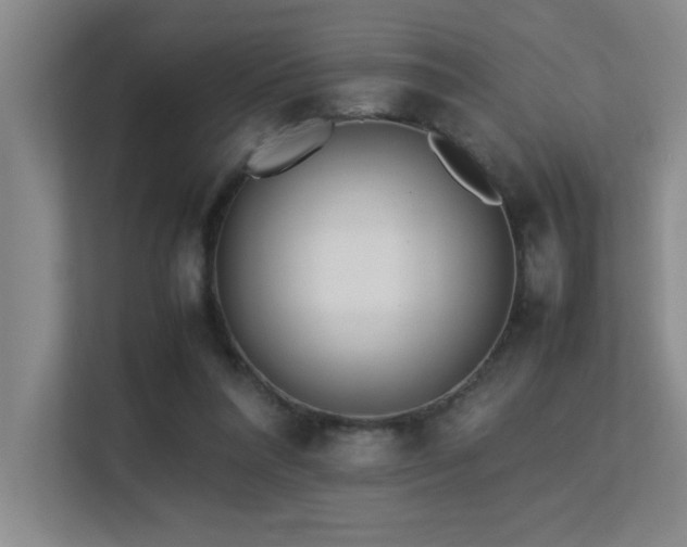 X0000113210304200909101137