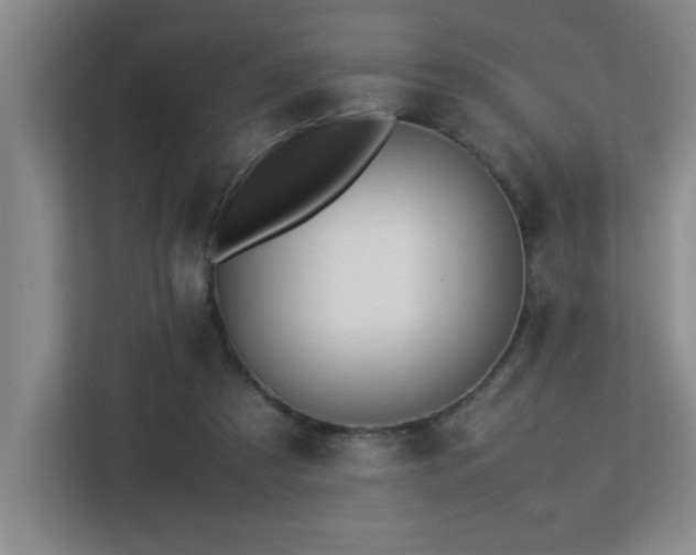 X0000113210305200909101137