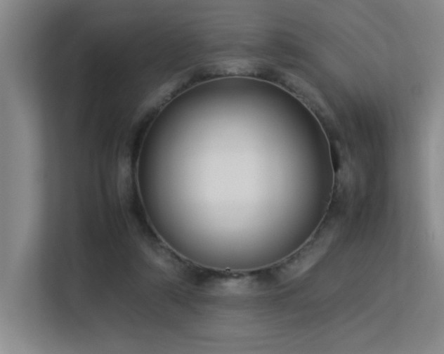 X0000113210306200909101137