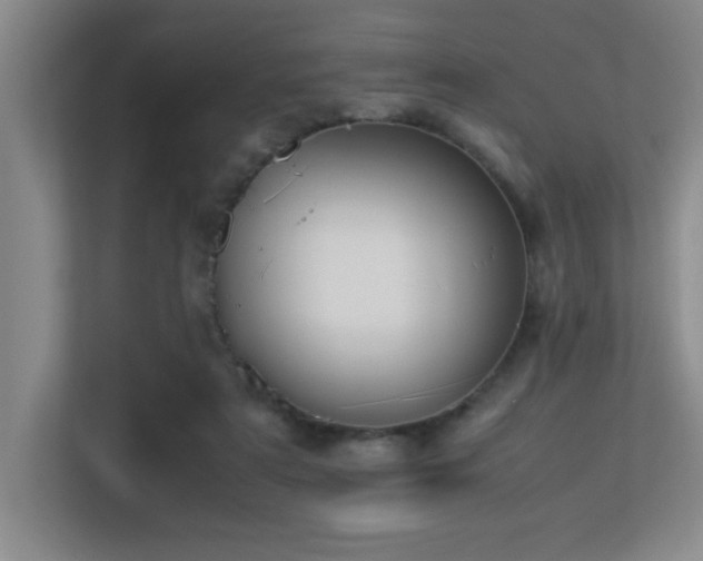 X0000113210307200909101137