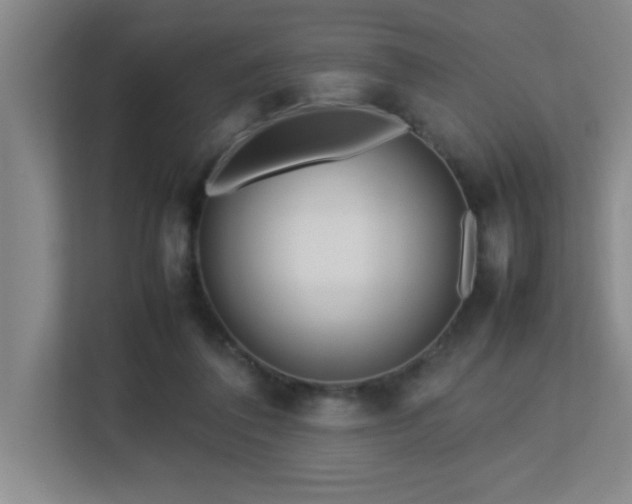 X0000113210308200909101137