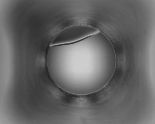 X0000113210309200909101137