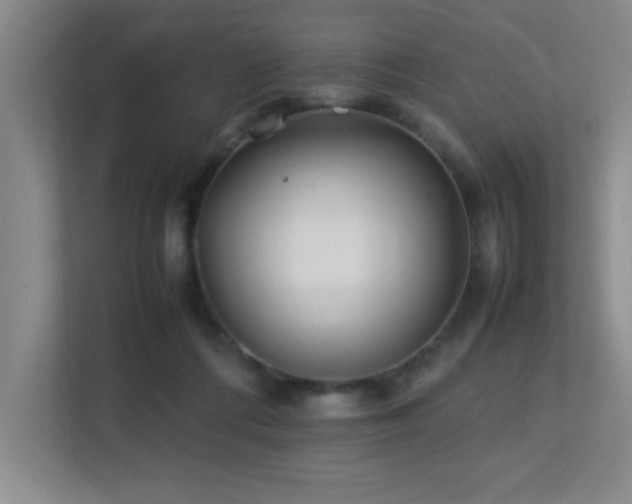 X0000113210312200909101137