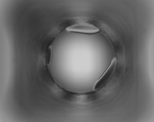 X0000113210313200909101137