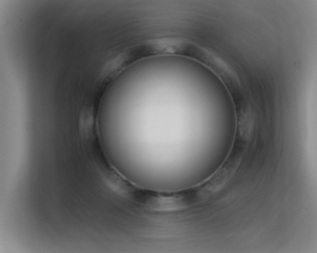 X0000113210314200909101137