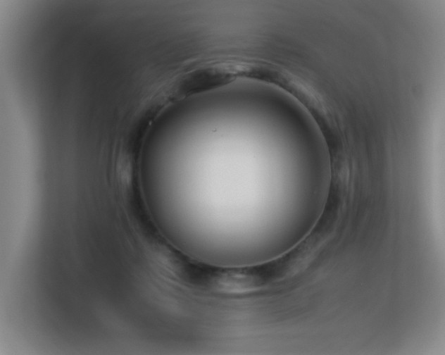 X0000113210315200909101137