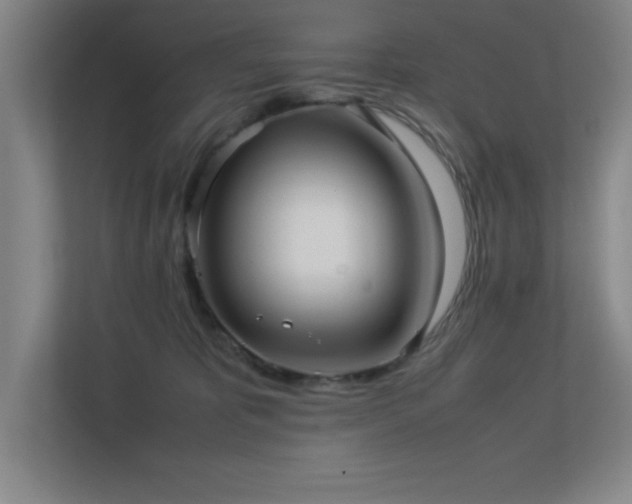 X0000113210325200909101137