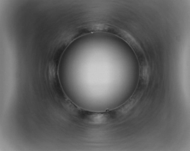 X0000113210326200909101137